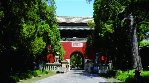漫步孔林,感受儒风浩荡